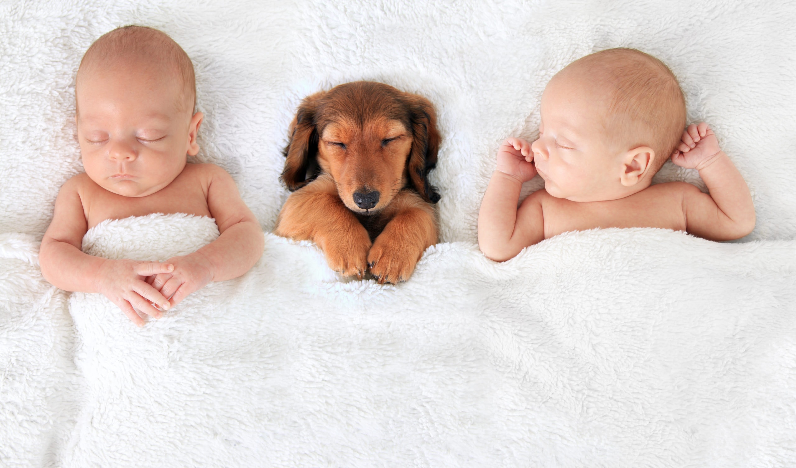 25 Dieren Namen Voor Baby S Beestachtig Leuk Babynamen Nl