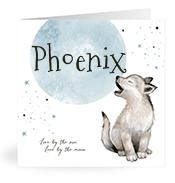 Geboortekaartje naam Phoenix j4